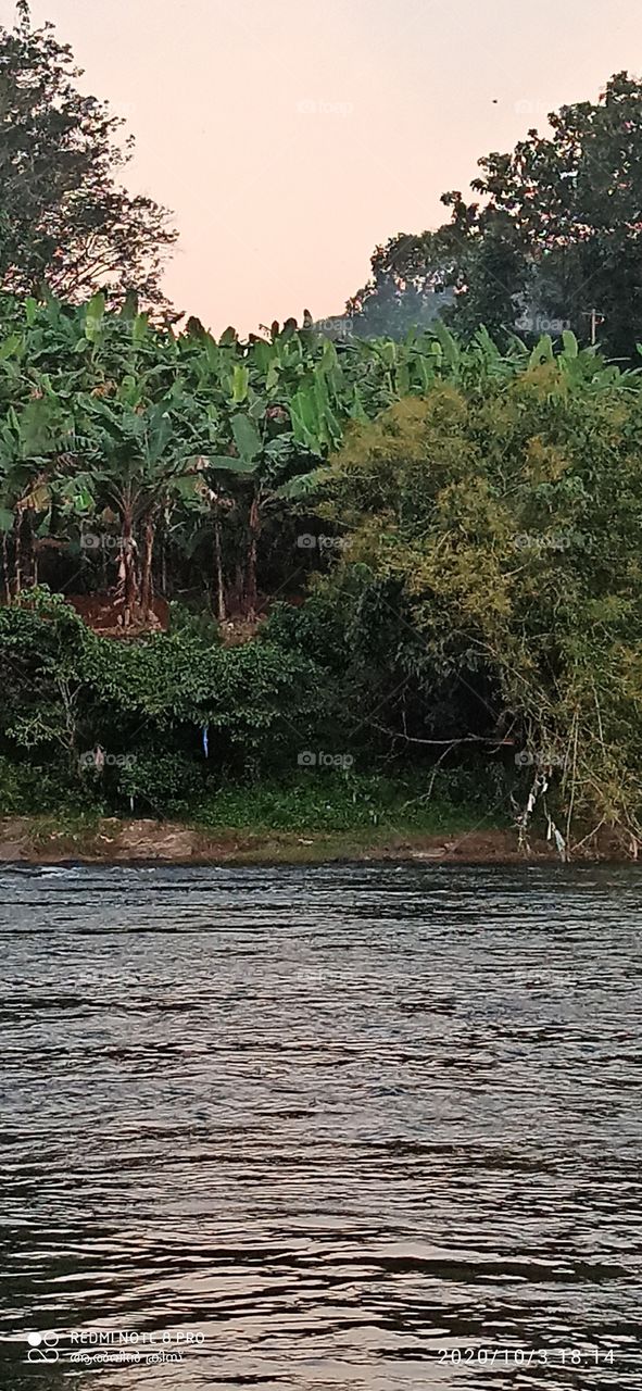 manimala river