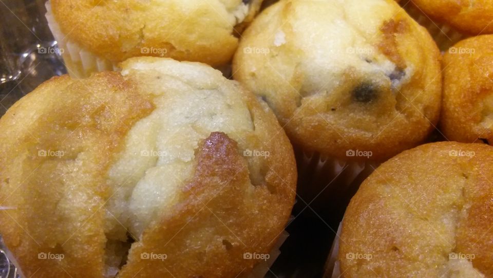 Blue Berry Muffins