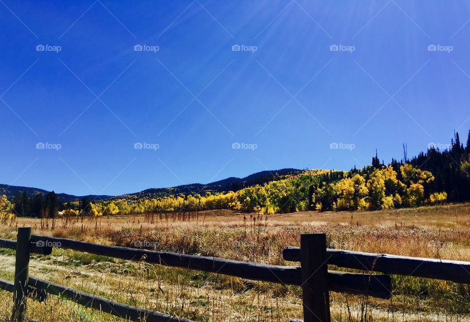 Fall in the Rockies  .... Color-FULL- Colorado