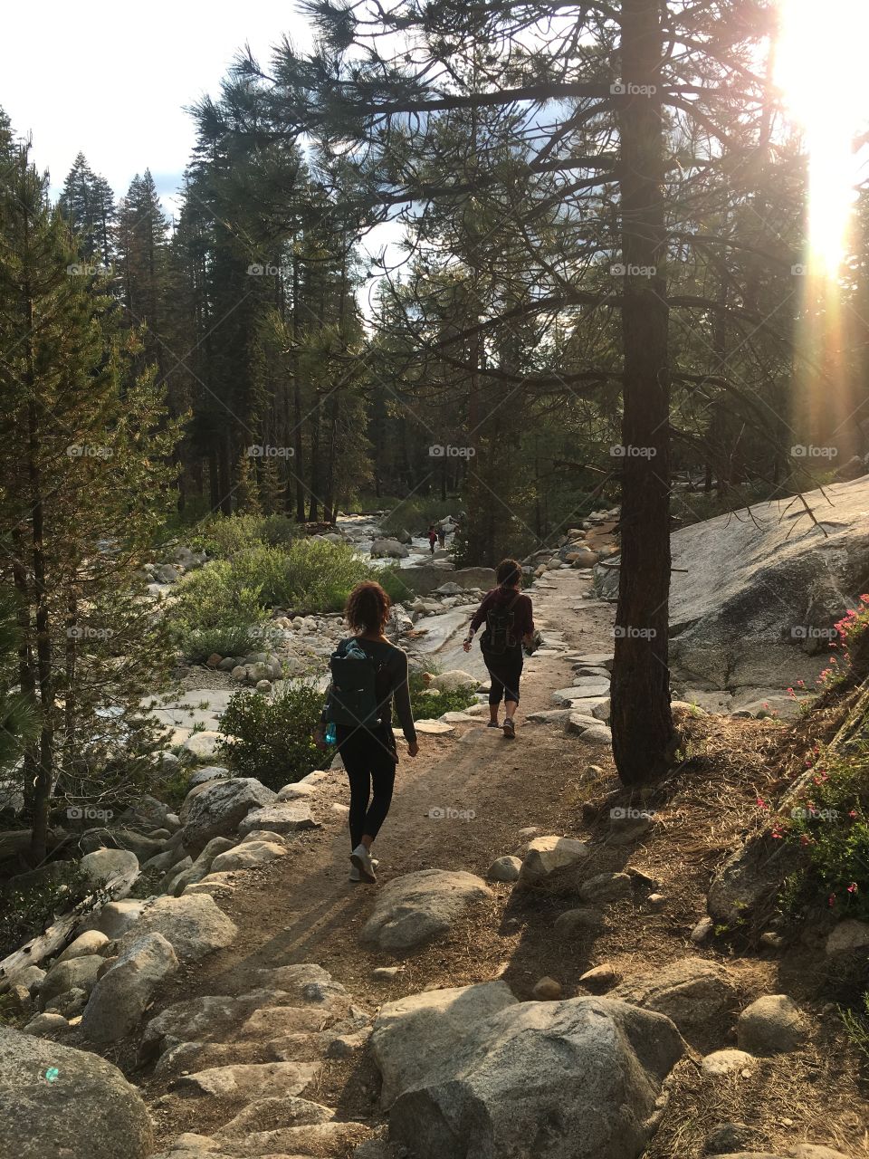 Hiking through sequoia national park 