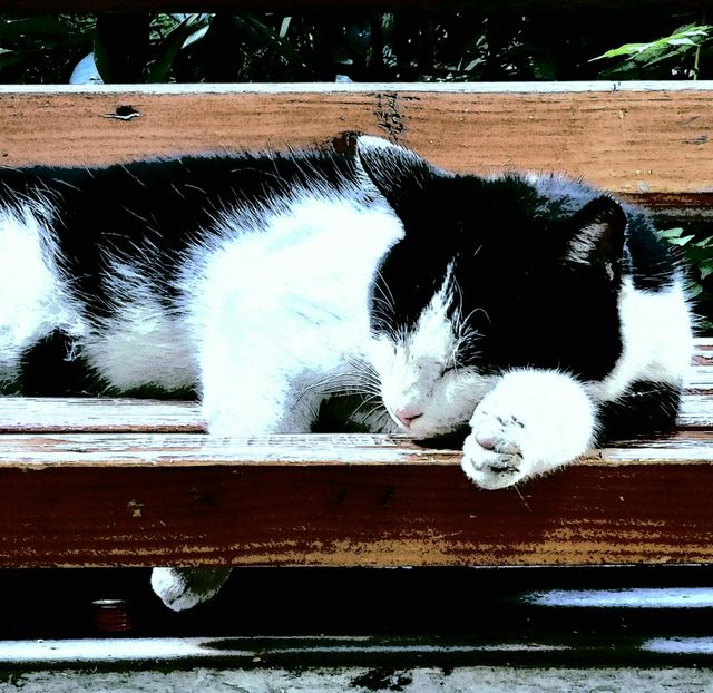 sweet dreams