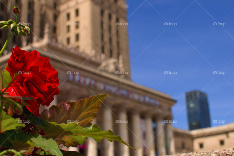 Palac Kultury Warsaw