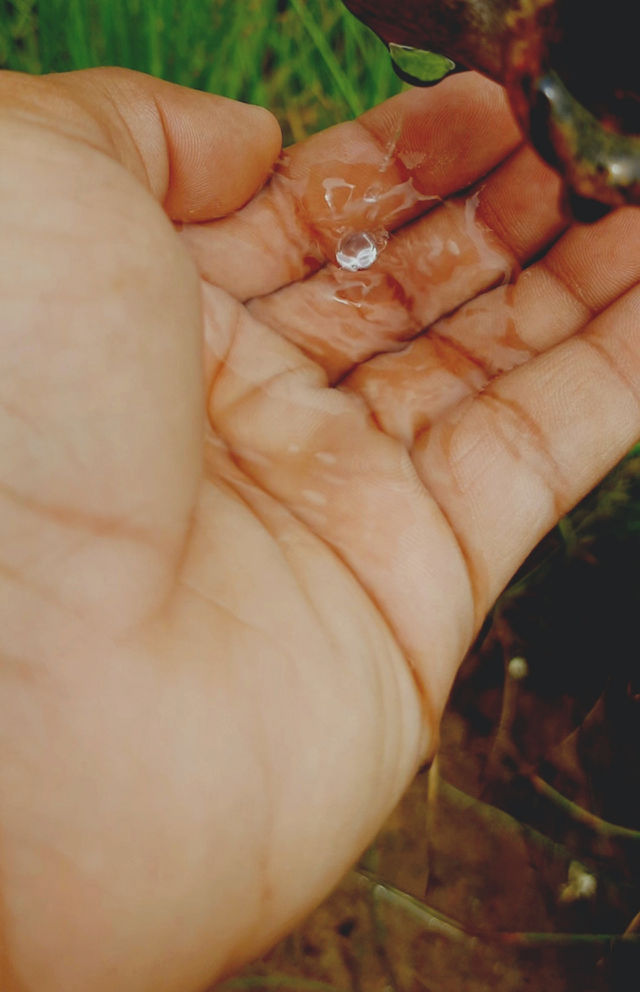 Few Drops of Life