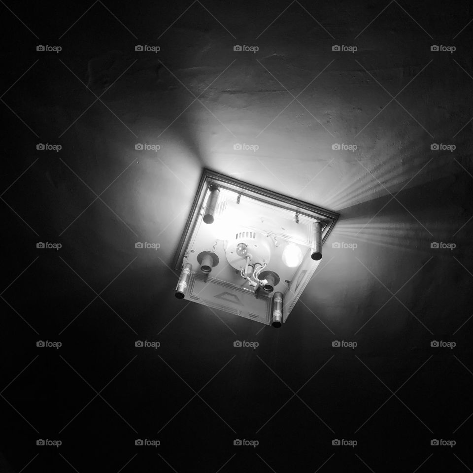 Fluorescent light in dispair