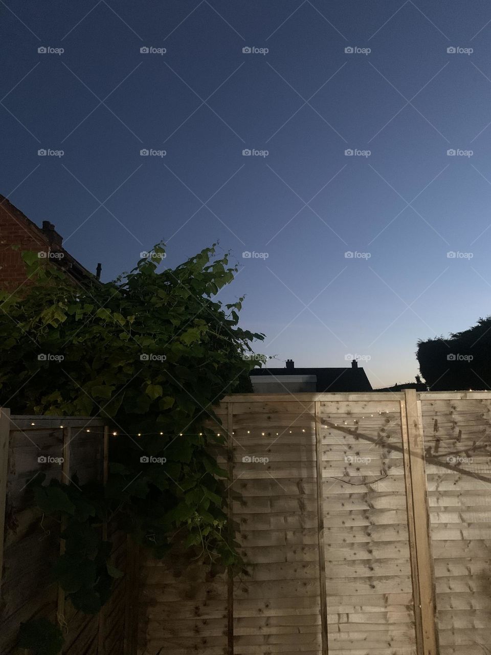 British evening skies, portrait , colour 