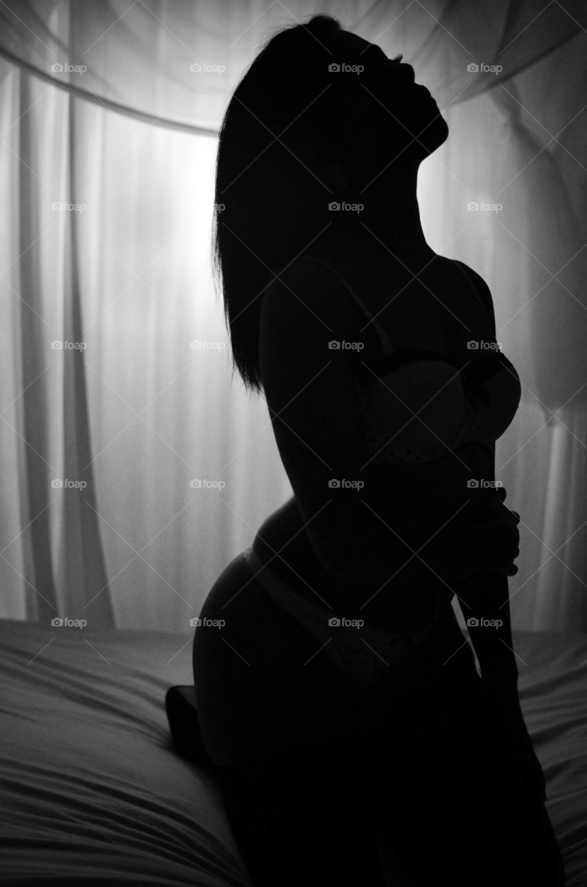 Curves in Silouhette 