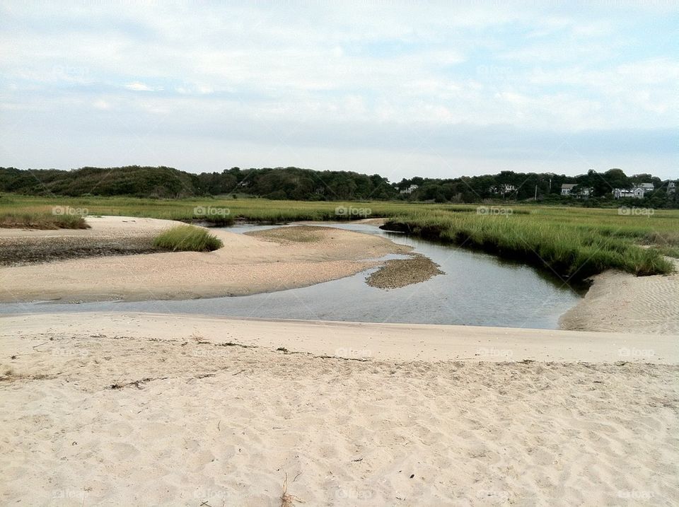 Cape Cod estuary