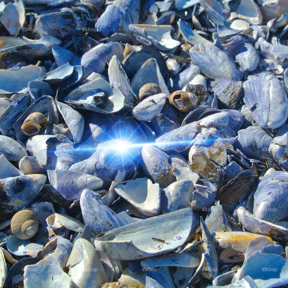 Shelfs on the coast.