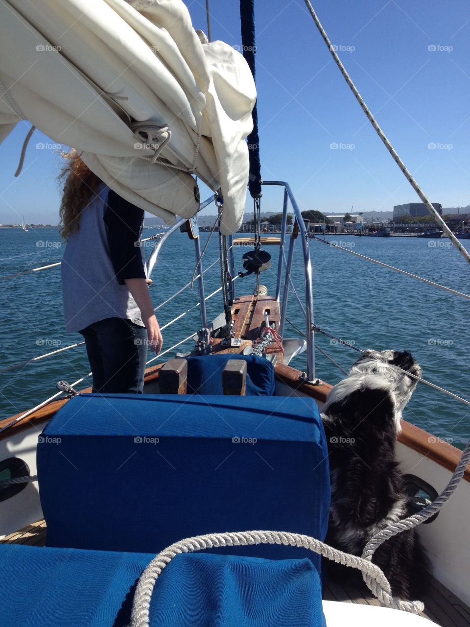 Dog and girl on boat 