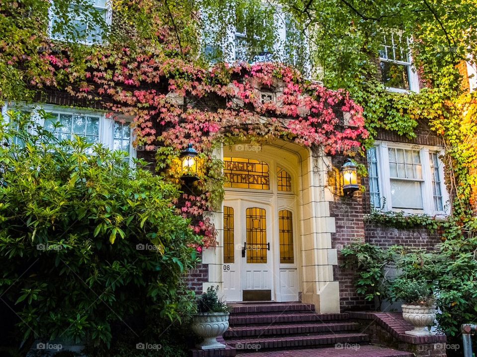 Ivy Covered Apartment Building