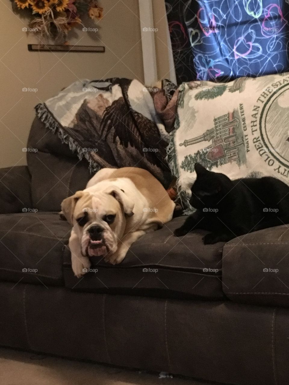 Just hanging with my cat friend!