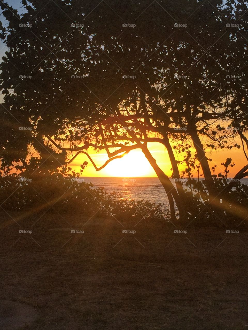 Sunset at the beach