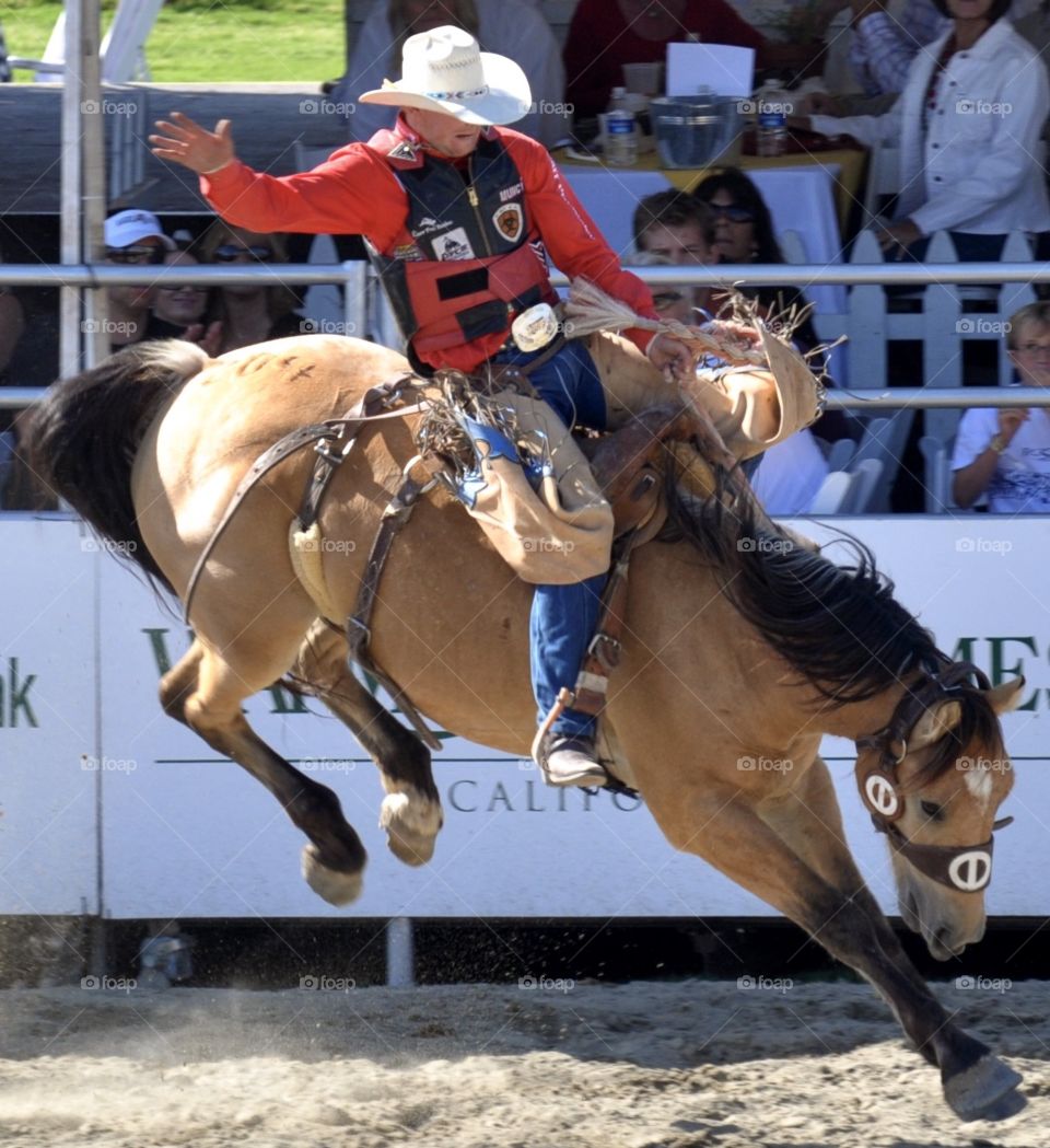 Rodeo bucking bronco 