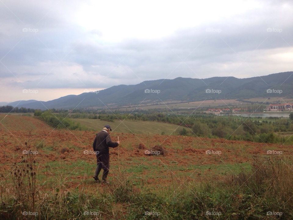 wait grandpa. my grandpa was all day gone , and then i saw him coming he brought many walnuts with him