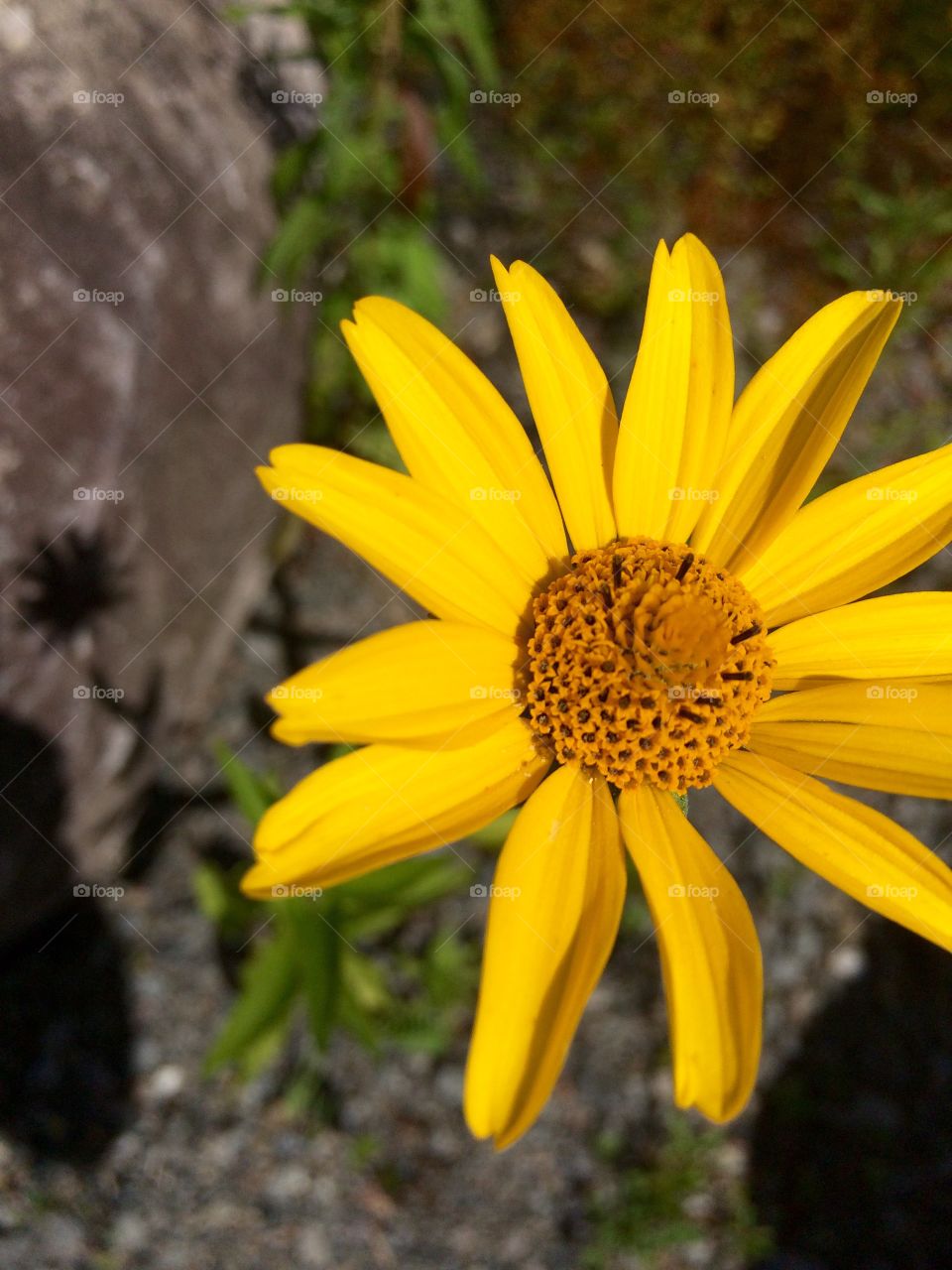 Capturing life at a different angle.