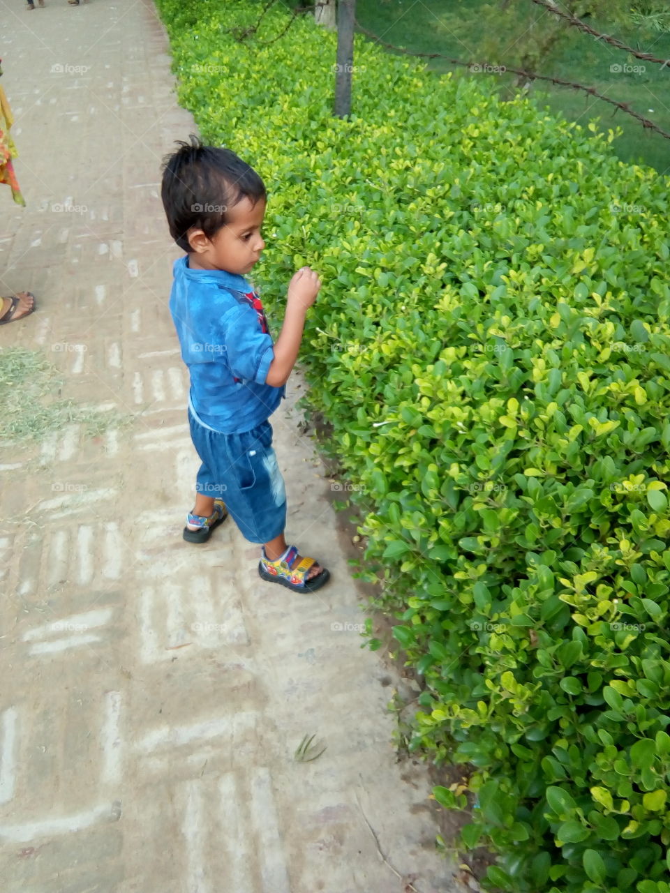 a little boy playing in an ancient fort of Bathinda city- a monument protected by Govt Of India- inner part