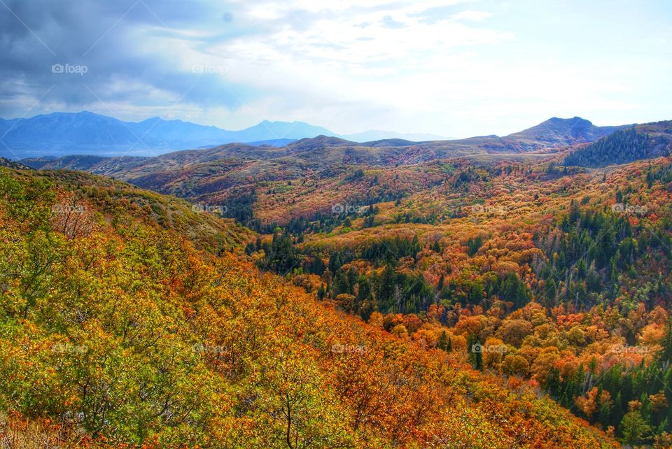 Autumn mountain 