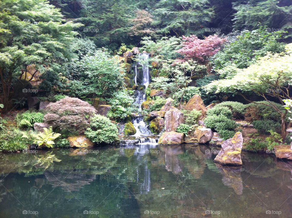 garden flower japanese waterfall by milespro