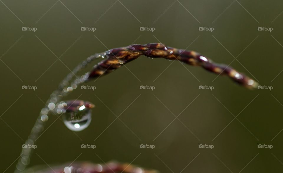 hold onto that little drop of Hope in life