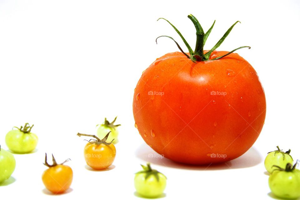 Giant tomatoe with small tomatoes in white background