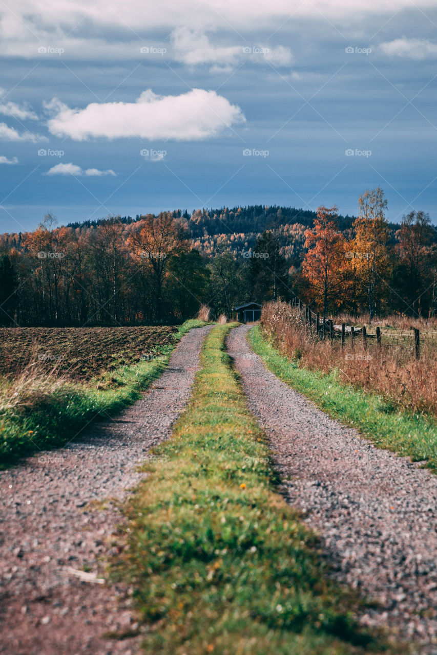 Road in Ål-kilen, Dalarna, Sweden