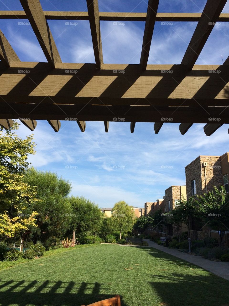 trellis and view