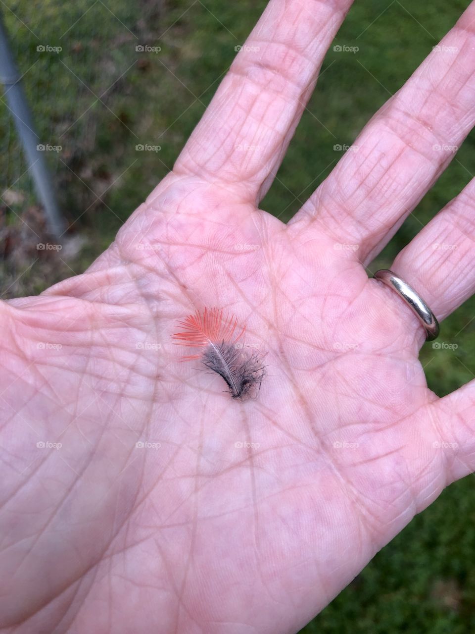 The old and the new...