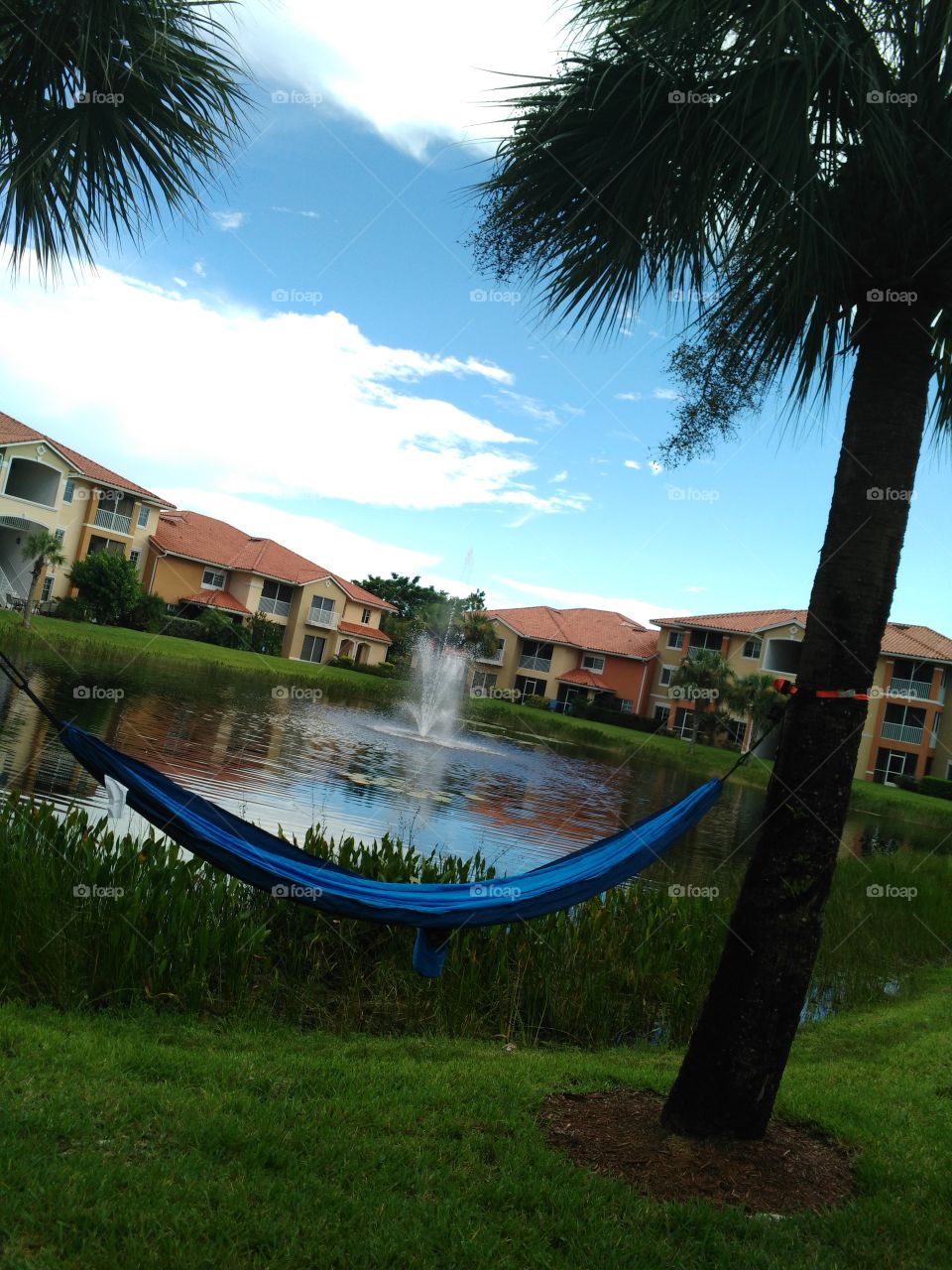 hammocks are where my lazy bum wants to have a seat!