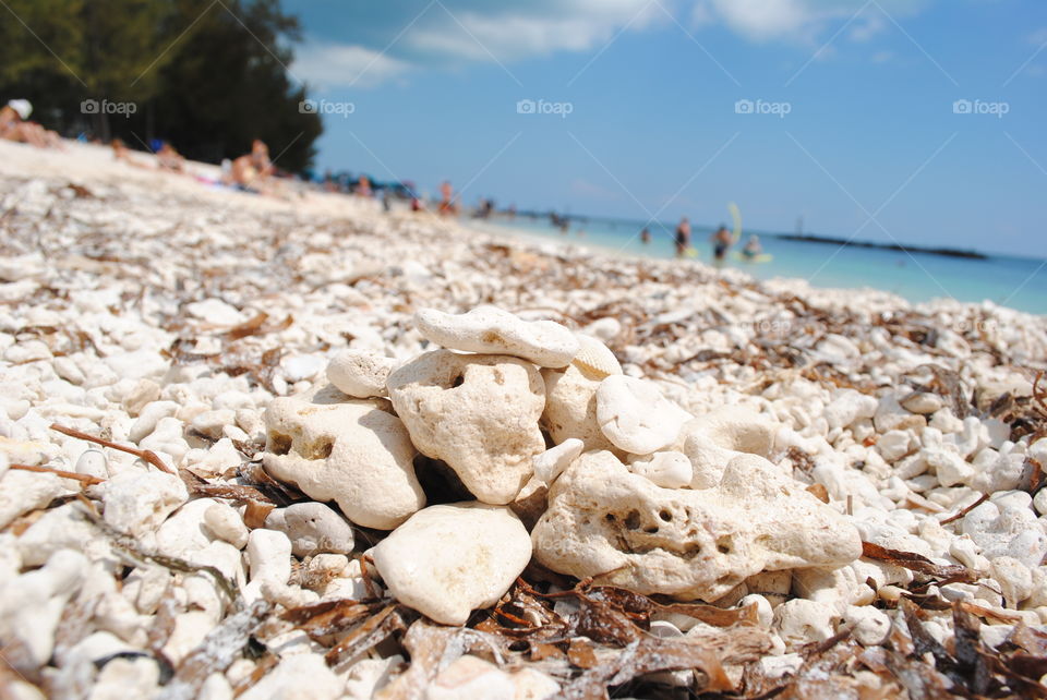 Fort Zackary park, Key West, Florida