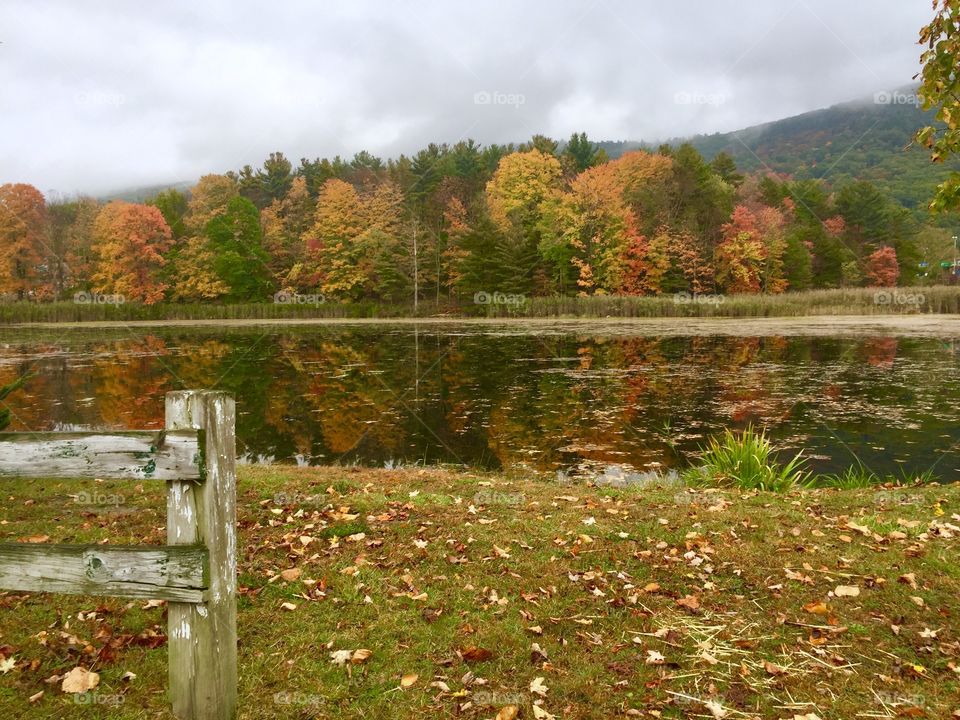 Autumn afternoon