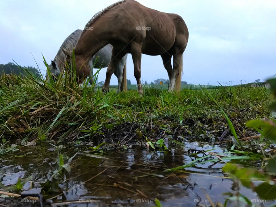 Cloudy morning 