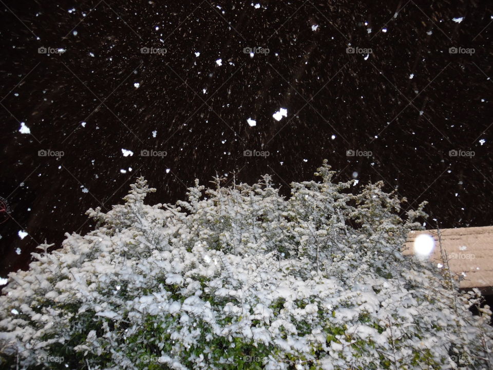 Last snow of the season