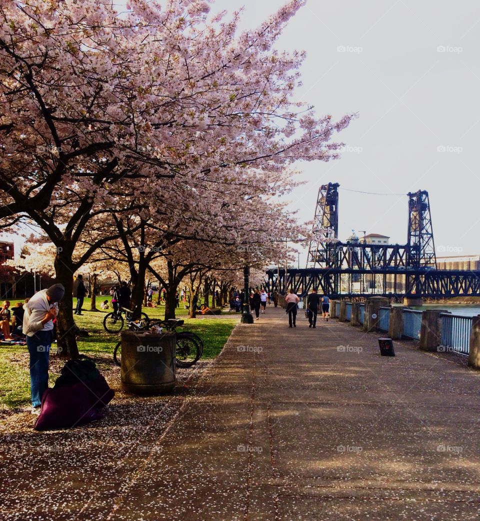 Walking through the spring 