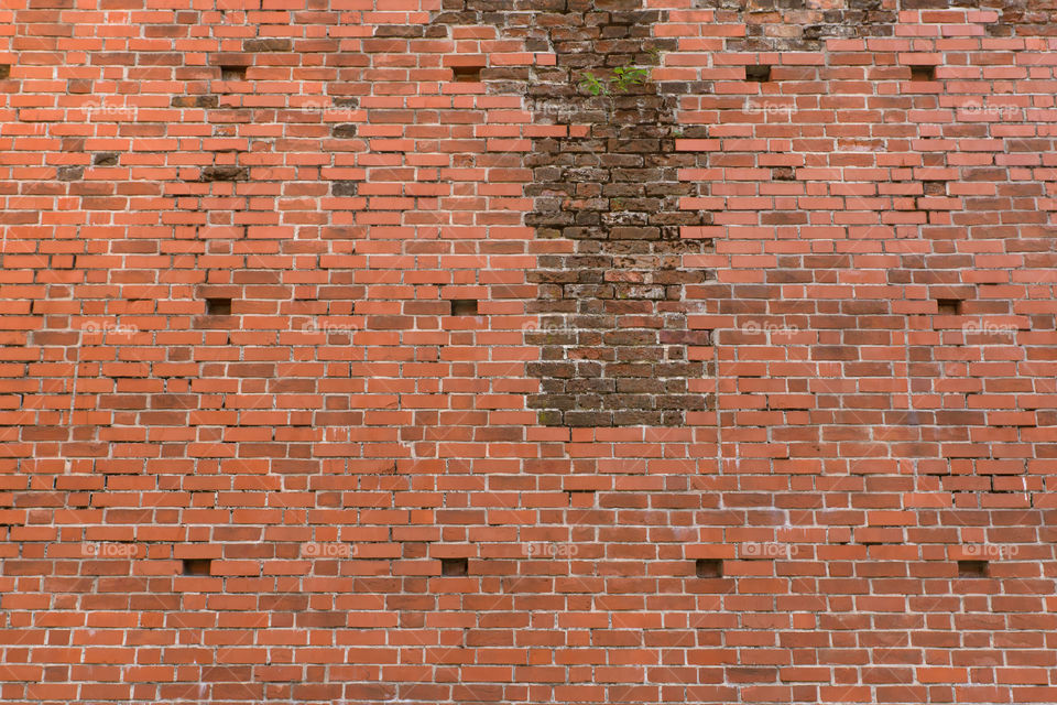 Wall