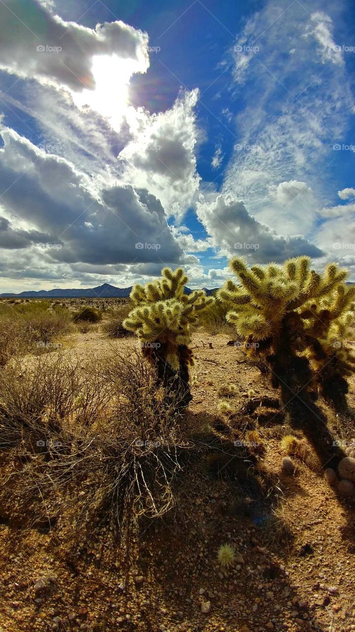 Searing sun rays shine through the recent storm clouds of the Arizona desert.