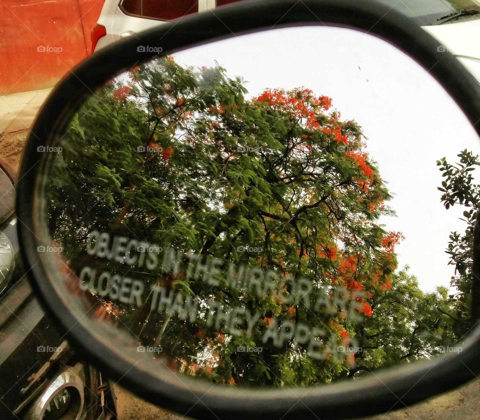 objects in the mirror are more beautiful than they appear❤