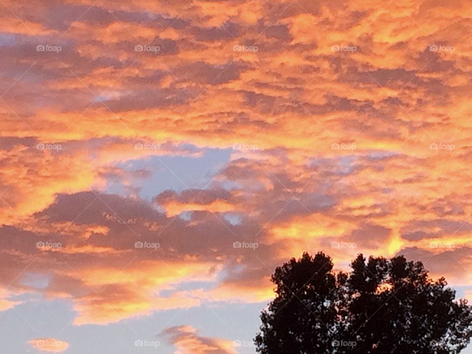 Sunset clouds