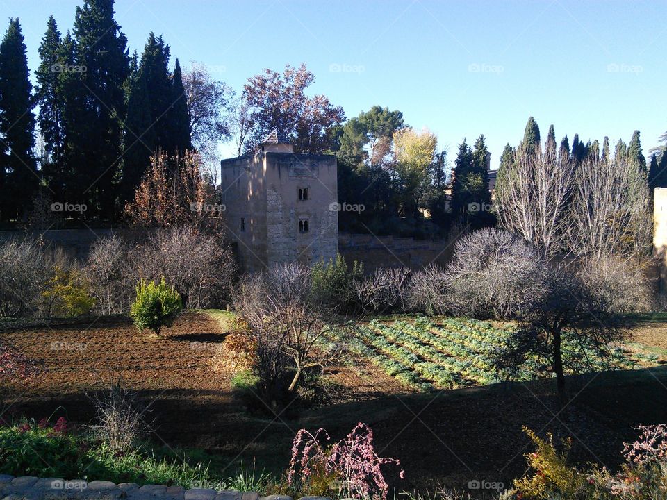Gardens' view in Generalife