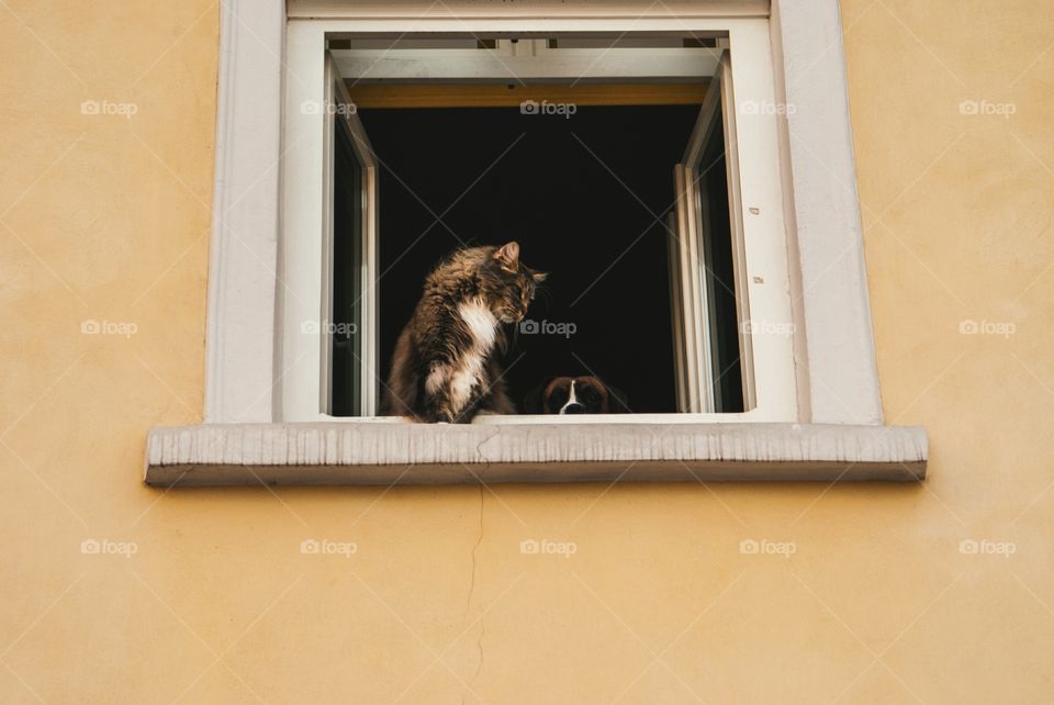 An adorable caption of two friends in Poland!