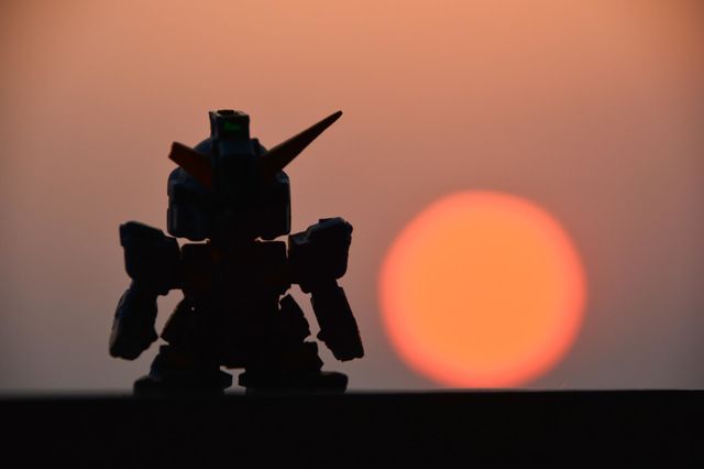 Silhouette of soldier 