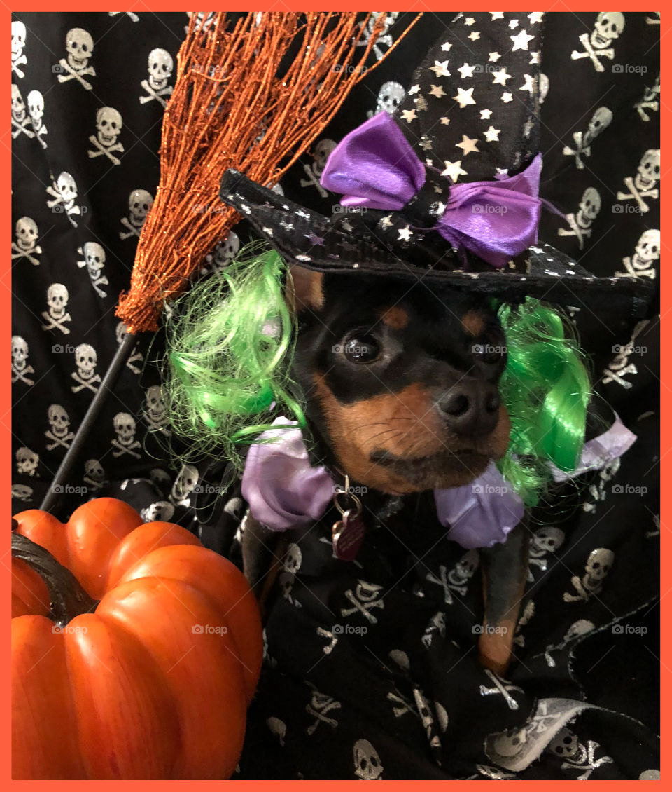 Min pin witch
