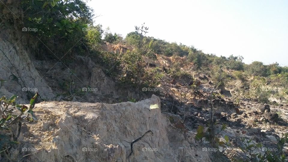 The pleateu of mountainous pictures where many plants are grown.