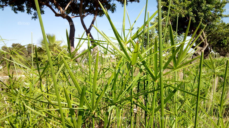 طبيعة خلابة من أكادير
