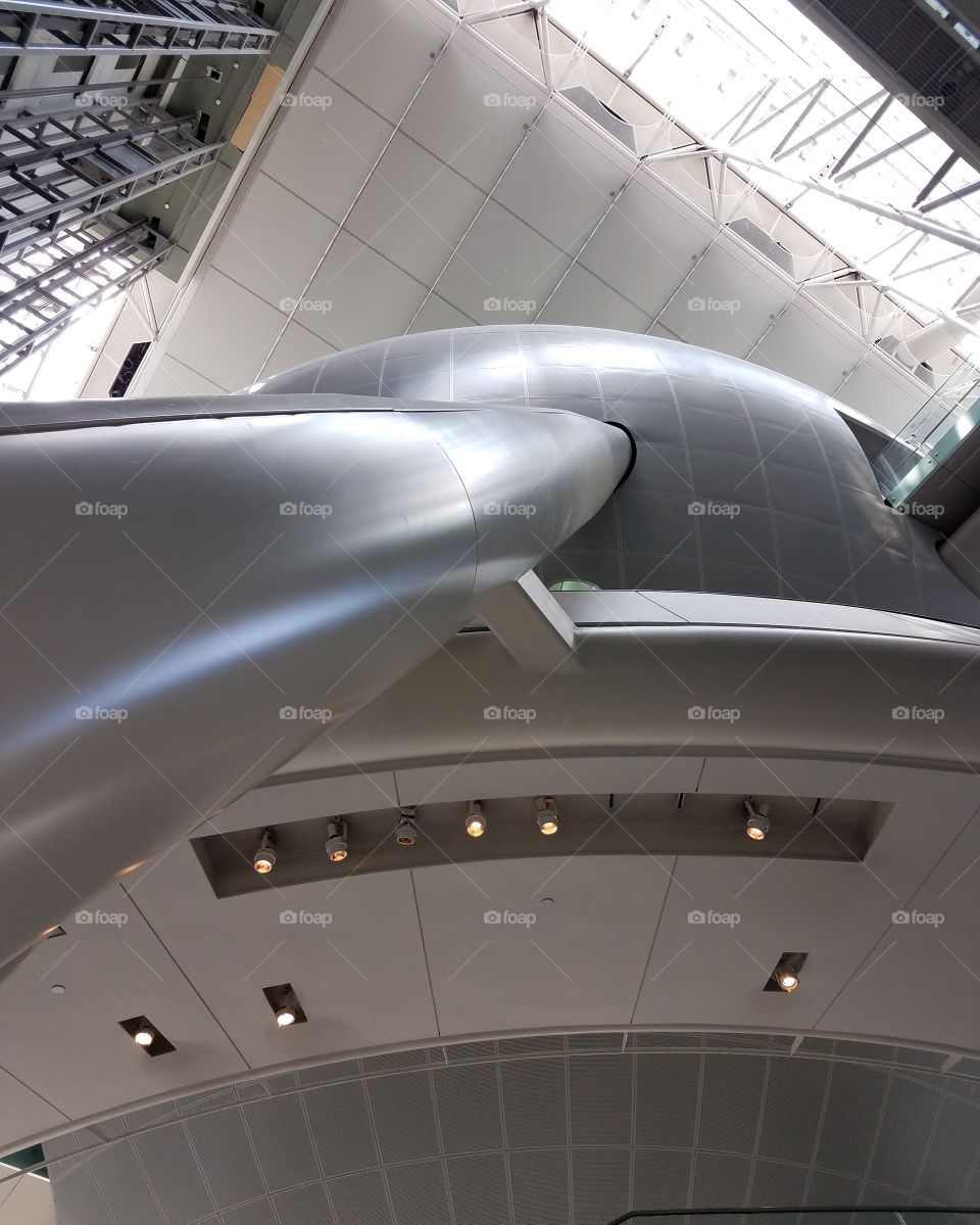 An interior and unique perspective of the architectural genius of the Museum of Natural history in New York city.