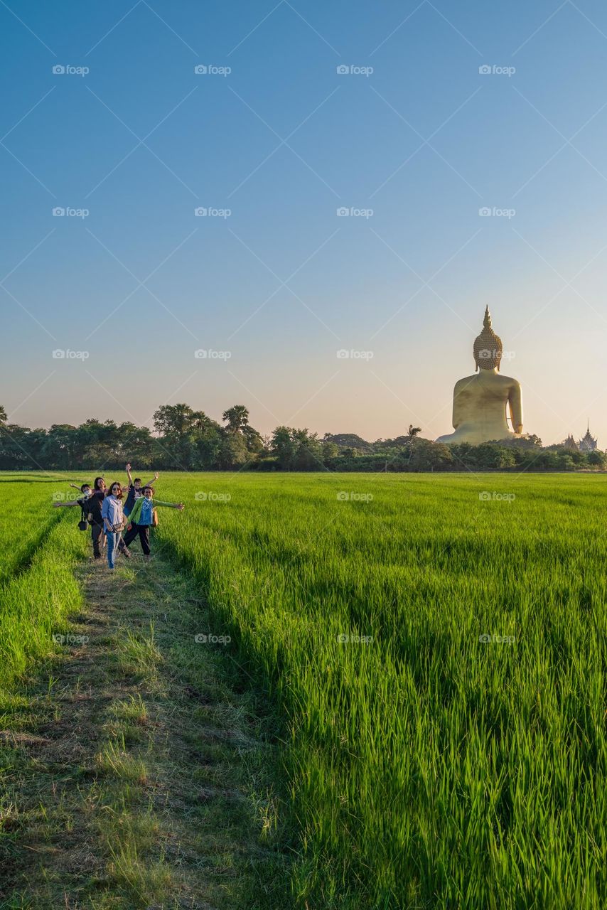 Tour in rice field