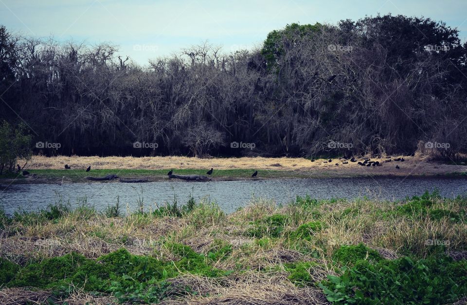 By the river 