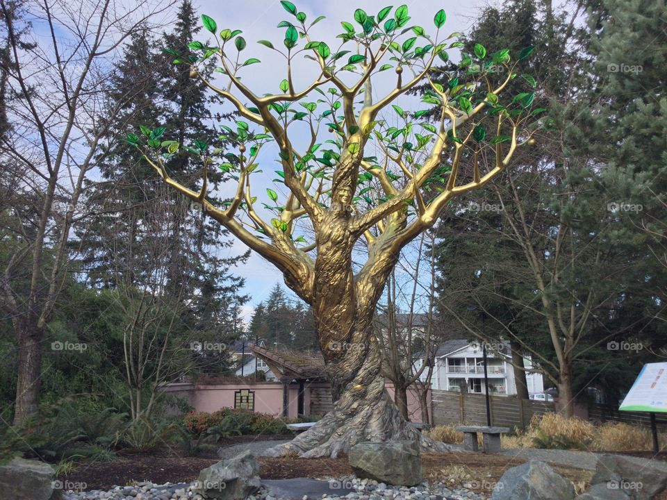 Gold Plated Tree Statue in the Zen Garden 