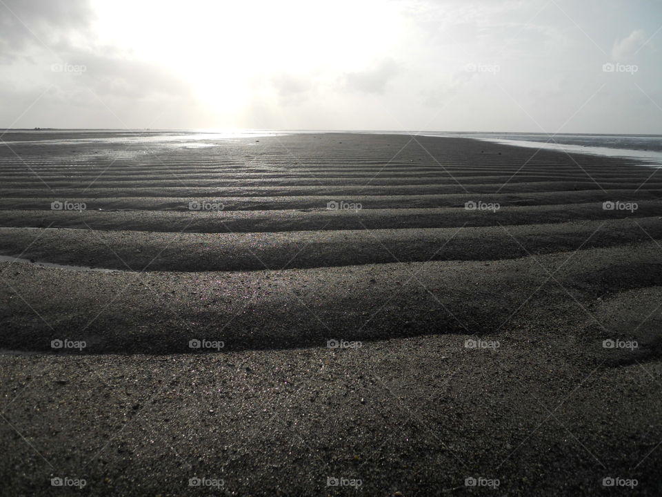 Sand Dunes On The Beach