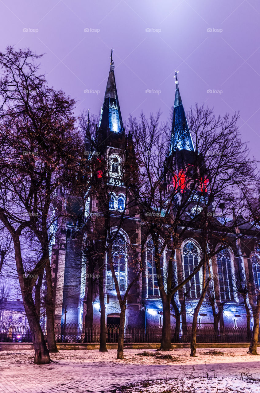 St. Olga and Elizabeth cathedral in Lviv city