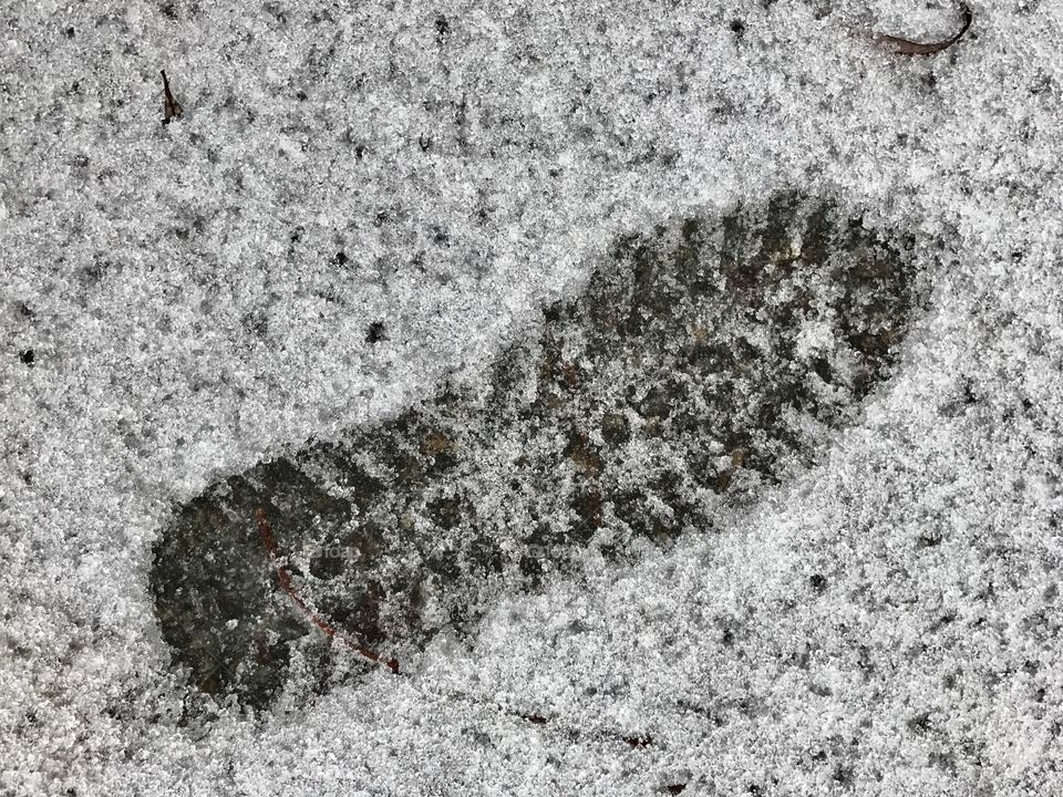 Footprint on the snow 